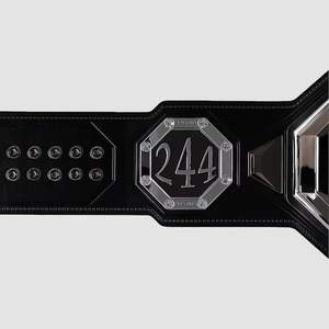 Réplica del Cinturón de Campeonato UFC BMF - Product Image 3