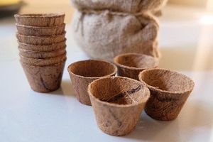 Premium Coir Fiber <b>Seed</b> Starter Pot – All-Natural Nutrient-Rich Root Trainer for Plant <b>Propagation</b> - Product Image 5