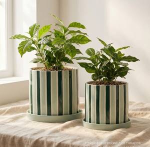 Maceta de Cerámica Esmaltada con Plato a Juego, Acabado Duradero, Diseño Moderno de Rejilla, Soporte para Plantas de Interior - Product Image 3