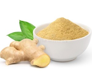 ORGANIC DRIED <b>GINGER</b> <b>POWDER</b> / HIGH QUALITY SPICY <b>GINGER</b> ROOT <b>POWDER</b> FOR CULINARY USE - Product Image 2