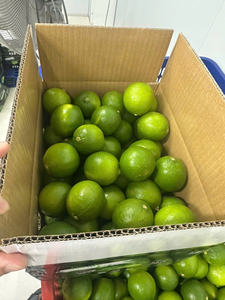 Lima sin semillas de Vietnam de alta calidad para suministro mayorista a compradores internacionales - Product Image 2