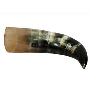 Cuerno de Buey para Beber, Artesanía Religiosa, Decoración Animal, Tallado Pulido, Hecho en India - Product Image 1