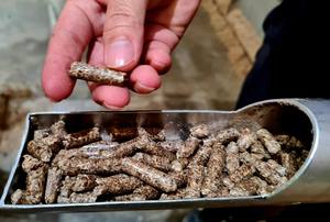 เม็ดไม้ธรรมชาติสีน้ำตาลทรงแท่ง คุณภาพสูง ขนาด 8-9 มม. ปริมาณเถ้าต่ำ ให้พลังงานสูง ผลิตในเวียดนาม ยี่ห้อ VNT 4700J - Product Image 4