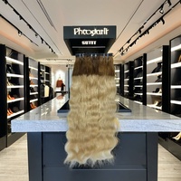 Extensions de cheveux indiens vierges Remy 100% naturels, aspect naturel, blond ombré, lisses et soyeux, pour salons