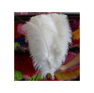 Bulk Wholesale Ostrich <b>Feather</b> 20cm 30cm 40cm Grade A For Boa Headband Costume Sale - Product Image 4
