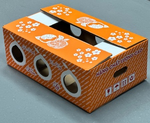 Custom Printed Pomelo Export Carton Box For Fresh Fruit Agricultural Packaging Vietnam OEM ODM Supplier Heavy Duty Box - Product Image 1