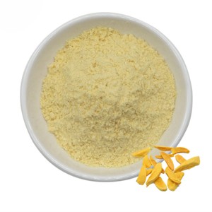 Poudre de mangue séchée par pulvérisation de qualité supérieure, 100% pure, avec saveur et arôme tropicaux authentiques, pour smoothies et boissons - Product Image 1