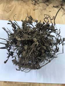 Hojas de gelatina secas crudas certificadas HACCP ISO están disponibles para hacer bebidas de postre a precios competitivos/Lima - Product Image 2