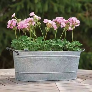 Jardinière Galvanisée Élégante, Pot de Plante d'Intérieur, Conteneur Décoratif en Métal pour Fleurs, Décoration de Salon et de Jardin - Product Image 5