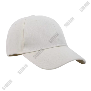 SIBRIN 6 Panel Custom <b>Baseball</b> <b>Cap</b> Hot Gray Curved Brim Motorsport Skateboarding Outdoor Streetwear Casual Sports P <b>Caps</b> - Product Image 3