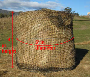 Filet de foin rond pour alimentation lente des chevaux, 5' x 5', robuste - Product Image 2