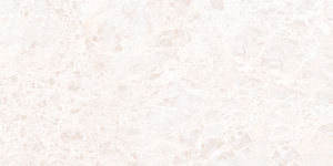 กระเบื้องเซรามิกขัดเงา รุ่น 1222-L ขนาด 300x600 มม. - Product Image 1