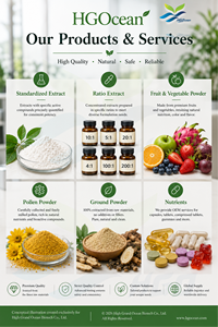 Approvisionnement direct usine HGO de poudre d'extrait de racine de Salvia Miltiorrhiza pure et naturelle (qualité alimentaire) avec 5% de Danshensu - Product Image 6