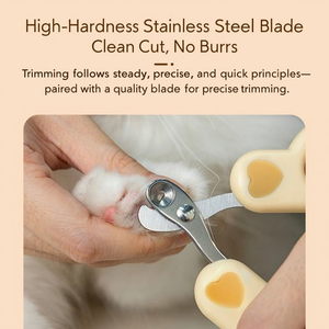 Coupe-ongles pour chat avec trou de positionnement de sécurité, en acier inoxydable, coupe-griffes pour chaton, ciseaux de toilettage de précision pour débutants - Product Image 2