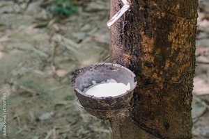 Caoutchouc naturel en latex de couleur blanche, fournisseur en gros de haute qualité pour les applications médicales, industrielles et de fabrication de jouets - Product Image 5