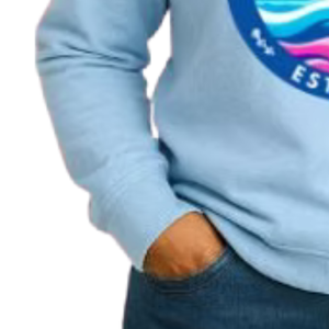 Sweat-shirt à col rond bleu clair pour femme, pull décontracté à manches longues, streetwear quotidien, vêtements confortables pour un style de vie actif - Product Image 4