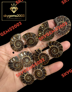 Amonites Fósiles Naturales de Alta Calidad al por Mayor, Lote de Minerales en Rodajas Pequeñas, Amonites Fósiles en Venta, Cabujones para Joyería - Product Image 2