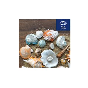 FAVORITO DE LOS CLIENTES: Conchas Marinas Ecológicas, Seguras y Limpias, Ideales para la Elaboración de Velas y Manualidades, al Mejor Precio - Product Image 1