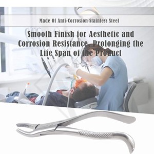 Forceps d'extraction dentaire manuels en acier inoxydable de haute qualité Accuram, réutilisables, classe I, pour enfants et adultes, usage professionnel - Product Image 5