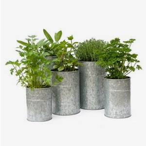 Pots à fleurs en zinc les plus vendus, pots de jardinage style ferme, pots de fleurs en métal, pots à fleurs en zinc imprimés avec autocollants émaillés - Product Image 2