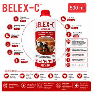 Complément liquide BELEX-C à base de complexe B et de vitamine C pour bovins, buffles, veaux, moutons, chèvres et volailles. |   Pack : 500 ml - Product Image 4