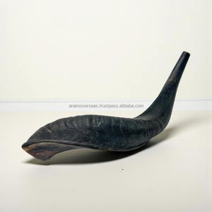 Shofar Artesanal de Cuerno de Carnero de Israel |   Artículos Judaicos Kosher Auténticos para Días Festivos y Ceremonias - Product Image 1