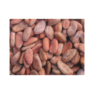 Fèves de cacao de haute qualité, idéales pour les achats en gros et la fourniture aux industries agroalimentaires - Product Image 1