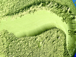 Meilleure Vente 2026 Poudre de Moringa - Super Aliment Naturel pour Renforcer l'Immunité Vente en Gros - Product Image 4