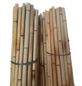 热销越南毛竹杆管园艺装饰竹杆工艺品