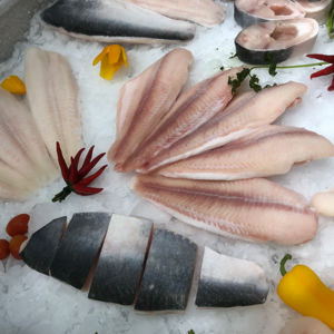 Filet de poisson pangasius congelé du Vietnam, 10 kg, 100 % pur, faible teneur en sel, sans additifs, qualité LQF, stockage à moins 18 °C, durée de conservation de plus de 12 mois - Product Image 1