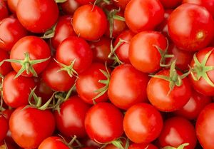 Fournisseur en gros de tomates fraîches de haute qualité, tomates rouges mûries sur la vigne pour l'exportation, supermarchés et industrie alimentaire - Product Image 2