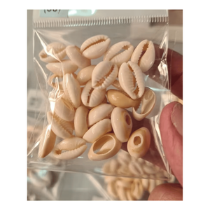 Coquillages de cauris jaunes et blancs uniques, coquillages naturels pour travaux manuels DIY - Product Image 5