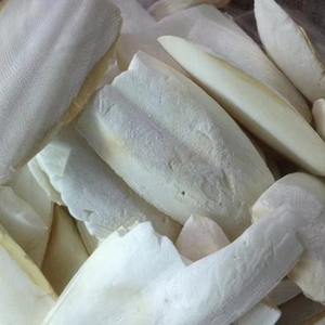 ผู้จัดจำหน่ายแคลเซียมธรรมชาติ เซเปียชาเล่ ไทรเดอร์ สำหรับใช้ดูแลสัตว์เลี้ยง กระดูกปลาหมึก 12 แพ็ค 28 - Product Image 1