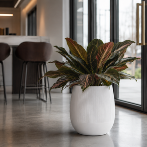 Juego de Macetas Decorativas para Jardín, Estilo Ribbed Orb, Elegantes para Interiores y Exteriores, 3 Tamaños, 22-54cm, Venta al Por Mayor - Product Image 6