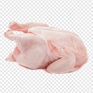 Pollo Entero Congelado Halal de Calidad, Pollo Entero Congelado Halal al por Mayor, Pollo Entero Congelado de Primera Calidad - Product Image 4
