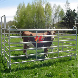 Panneaux de clôture d'écurie de cheval en métal noir clôture de sécurité galvanisée par corral extérieur pour le panneau de cheval d'utilisation équestre - Product Image 3