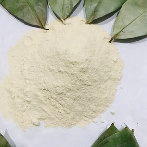 HEALTHY INGREDIENT GRAVIOLA SOURSOP POWDER - NUTRITIONAL FRUIT POWDER FOR FOOD INDUSTRY - Product Image 2