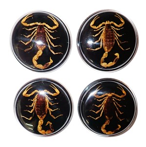 Escorpión Dorado, Espécimen Real, Cabujón de Plástico Redondo de 38.5x38.5 mm, Base Plana Negra para Manualidades y Joyería - Product Image 3