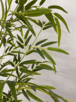 Miniature Arbre de Bambou Géant pour Jardin Zen Intérieur, Plante Artificielle Réaliste en Plastique Écologique, Accessoire de Bureau, Petit Pot de Fleurs