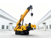 Grue araignée miniature CASDE de 8 tonnes, avec stabilisateurs pliables, alimentation essence/électrique, haute efficacité opérationnelle, hauteur de levage de 17,5 m