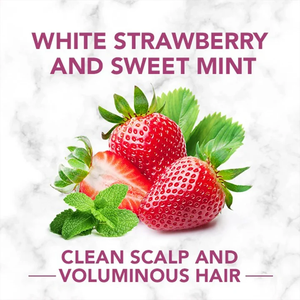 Shampooing aux herbes à la fraise blanche et à la menthe douce, formulé pour nettoyer et rafraîchir le cuir chevelu, ajoutant du volume et de la brillance, 240 ml - Product Image 5
