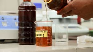 Aceite Vegetal Usado (UCO/UVO) de Alta Calidad, Origen Bélgica, 2 Años de Vida Útil, Almacenamiento en Lugar Fresco y Seco - Product Image 6