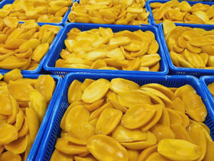 <b>SWEET</b> SOFT DRIED MANGO NATURAL SNACK // DRIED TROPICAL FRUITS FROM VIETNAM // Ms. Beatrix - Product Image 5