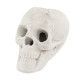 Decorazione Halloween Teschio per Braciere - Product Image 4