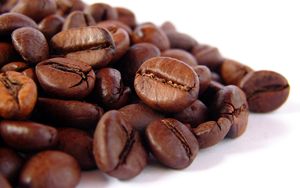 กาแฟโรบัสต้าออร์แกนิก USDA คั่วบด ผู้ผลิตส่งออกโดยตรง คัดแยกเมล็ดแตกและเมล็ดดำ 0.1% เท่านั้น ปริมาณสั่งซื้อขั้นต่ำยืดหยุ่นได้ - Product Image 1