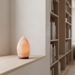 Lampe en cristal de sel de l'Himalaya en forme d'œuf, éclairage d'ambiance en pierre naturelle de l'Himalaya pour la maison, la chambre, le salon et le bureau - Product Image 2