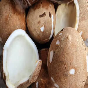 Copra de coco seco indio premium, madura y entera, de cosecha de nueva temporada, para procesamiento comercial de alimentos, exportación y venta al por mayor. - Product Image 4