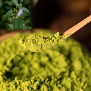 Extracto de Hoja de Gymnema Sylvestre Puro en Polvo, Suplemento Herbal Natural para el Control del Azúcar, Apoyo al Bienestar, Apoyo Inmunológico, Adultos - Product Image 4