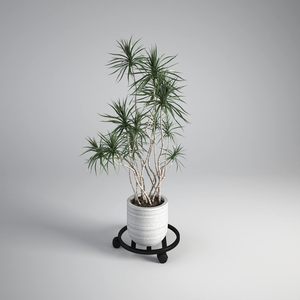 Chariot à plantes rond en métal fait main avec roulettes, support à plantes roulant robuste en fer noir, chariot à pots de fleurs pour usage intérieur et extérieur - Product Image 5