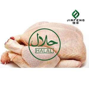 OFERTA <span class=keywords><strong>Pollo</strong></span> Entero Halal Congelado <span class=keywords><strong>Sin</strong></span> <span class=keywords><strong>Cabeza</strong></span>, Cuello, Hígado ni Patas - Product Image 5